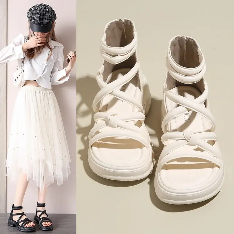 Sandals Women's Summer Outer Wear 2024 New Thick Sole Roman Shoes Fairy Style Dress Thick Heel Beach Sandals — feature 1