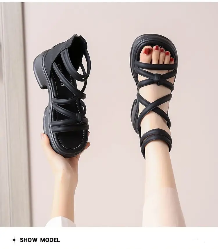 Sandals Women's Summer Outer Wear 2024 New Thick Sole Roman Shoes Fairy Style Dress Thick Heel Beach Sandals — feature 4