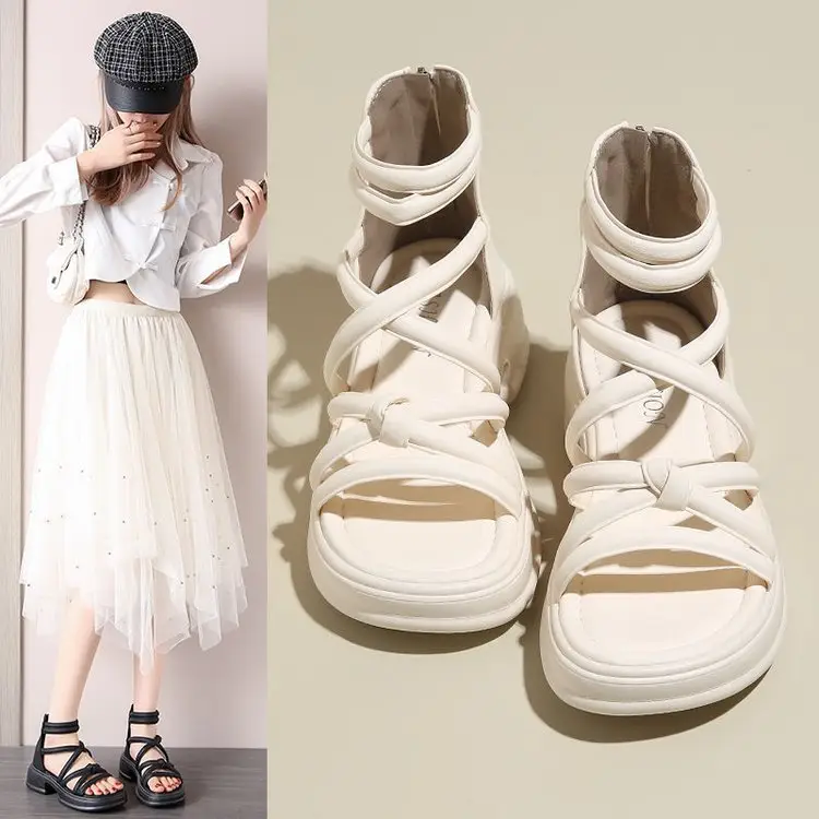 Sandals Women's Summer Outer Wear 2024 New Thick Sole Roman Shoes Fairy Style Dress Thick Heel Beach Sandals — feature 1