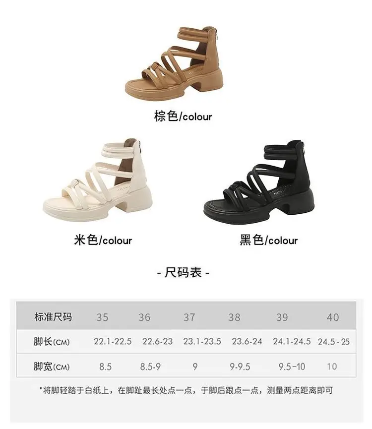 Sandals Women's Summer Outer Wear 2024 New Thick Sole Roman Shoes Fairy Style Dress Thick Heel Beach Sandals — feature 2