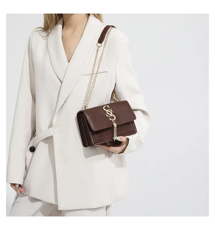 Stylish Brown Chain Crossbody Bag for Women 2024 — feature 13