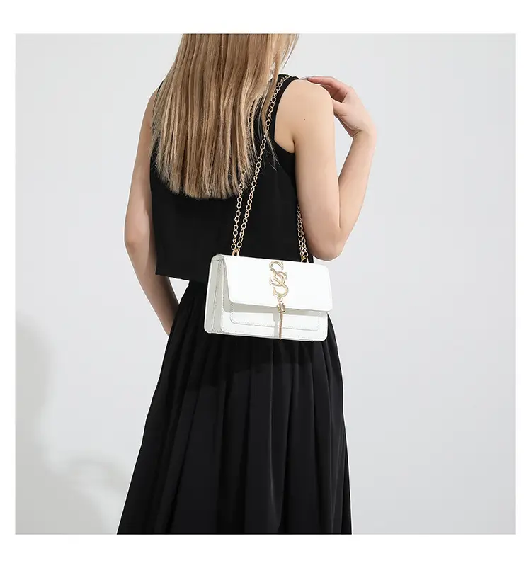 Stylish Brown Chain Crossbody Bag for Women 2024 — feature 22