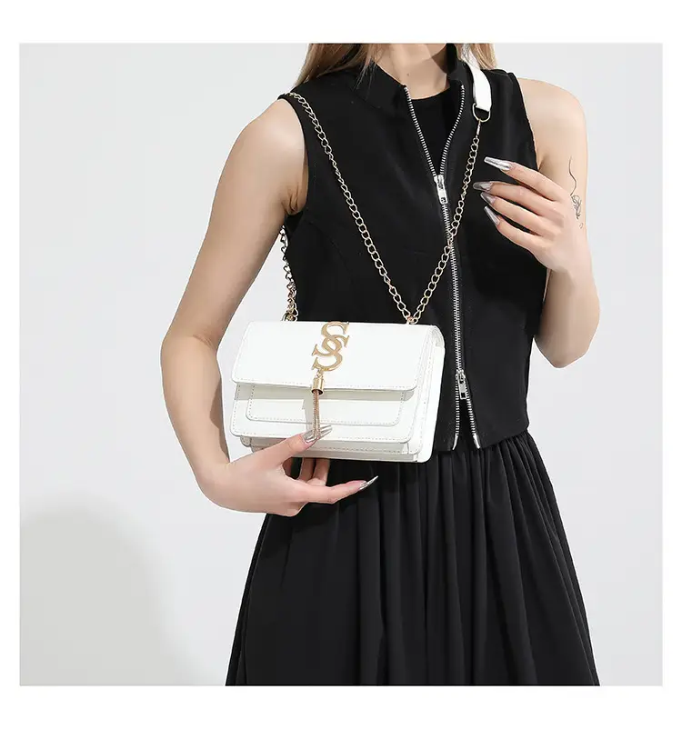 Stylish Brown Chain Crossbody Bag for Women 2024 — feature 23