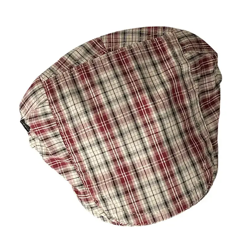 Retro Plaid Hat Women British Style Thin Duck Tongue Forward - Image 9