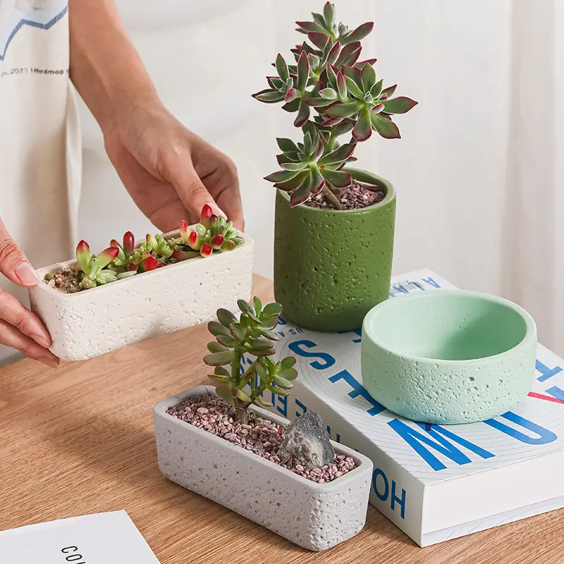 Cross-Border Hot Selling Custard Creative Stone Pattern Cement Succulent Flower Pot Office Home Desktop Green Plant Flower Pot Manufacturer Wholesale