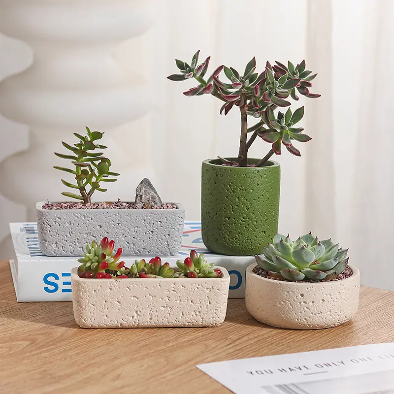 Cross-Border Hot Selling Custard Creative Stone Pattern Cement Succulent Flower Pot Office Home Desktop Green Plant Flower Pot Manufacturer Wholesale