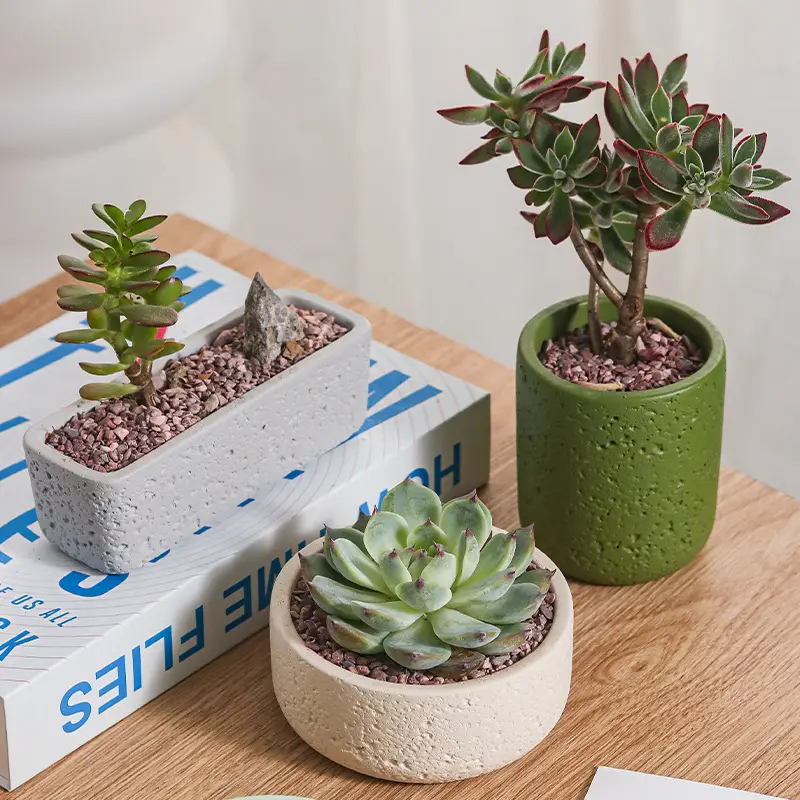 Cross-Border Hot Selling Custard Creative Stone Pattern Cement Succulent Flower Pot Office Home Desktop Green Plant Flower Pot Manufacturer Wholesale