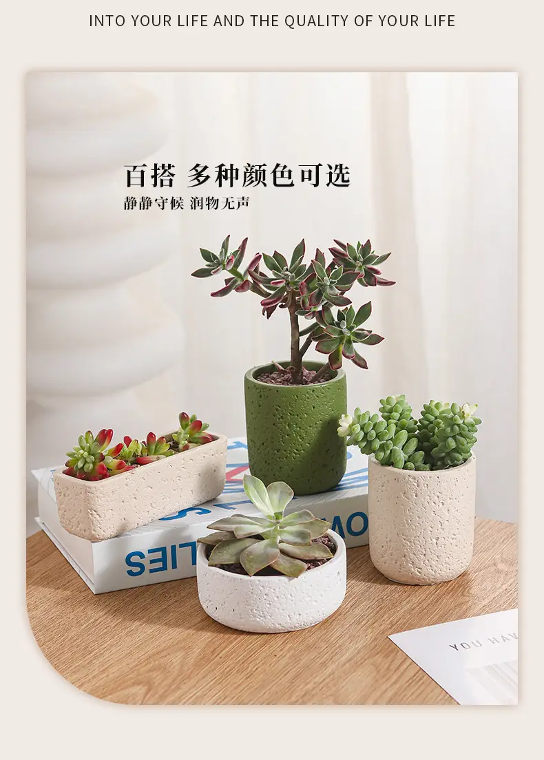 Cross-Border Hot Selling Custard Creative Stone Pattern Cement Succulent Flower Pot Office Home Desktop Green Plant Flower Pot Manufacturer Wholesale — feature 11