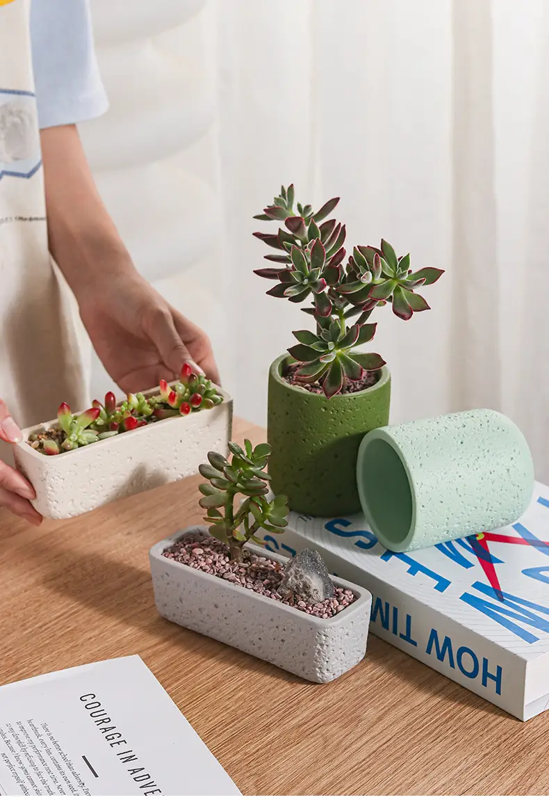 Cross-Border Hot Selling Custard Creative Stone Pattern Cement Succulent Flower Pot Office Home Desktop Green Plant Flower Pot Manufacturer Wholesale — feature 14