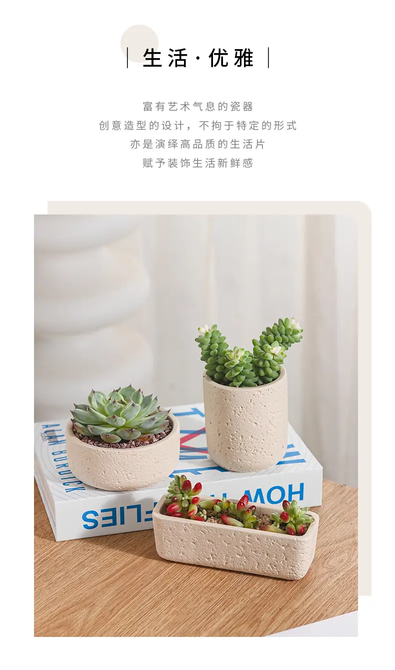 Cross-Border Hot Selling Custard Creative Stone Pattern Cement Succulent Flower Pot Office Home Desktop Green Plant Flower Pot Manufacturer Wholesale — feature 2