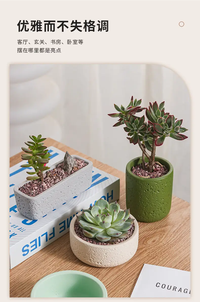 Cross-Border Hot Selling Custard Creative Stone Pattern Cement Succulent Flower Pot Office Home Desktop Green Plant Flower Pot Manufacturer Wholesale — feature 3