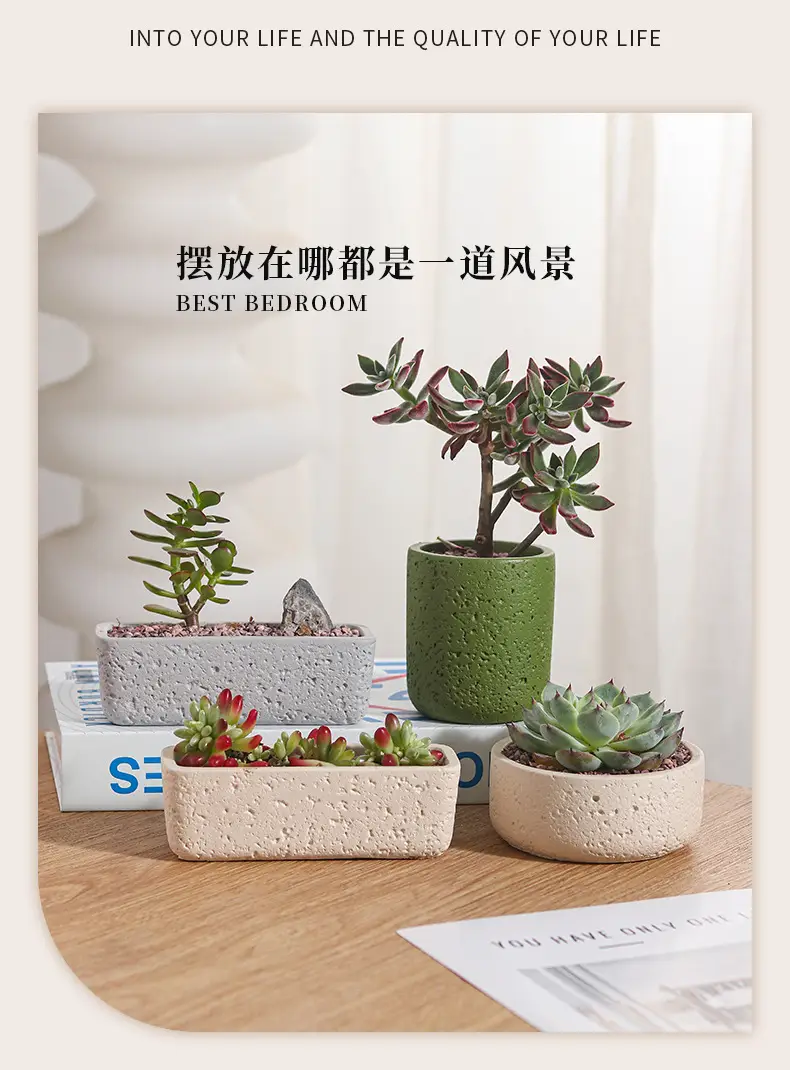 Cross-Border Hot Selling Custard Creative Stone Pattern Cement Succulent Flower Pot Office Home Desktop Green Plant Flower Pot Manufacturer Wholesale — feature 4
