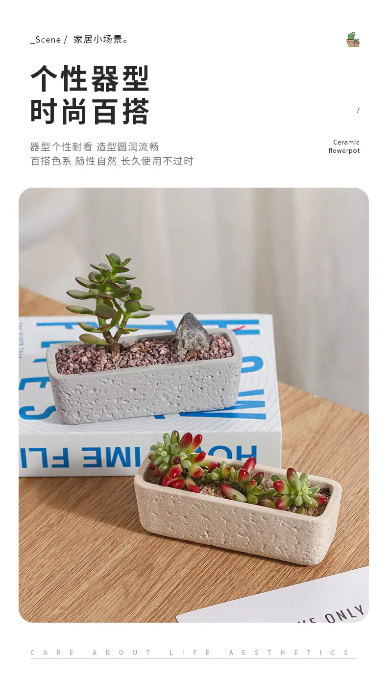 Cross-Border Hot Selling Custard Creative Stone Pattern Cement Succulent Flower Pot Office Home Desktop Green Plant Flower Pot Manufacturer Wholesale — feature 7