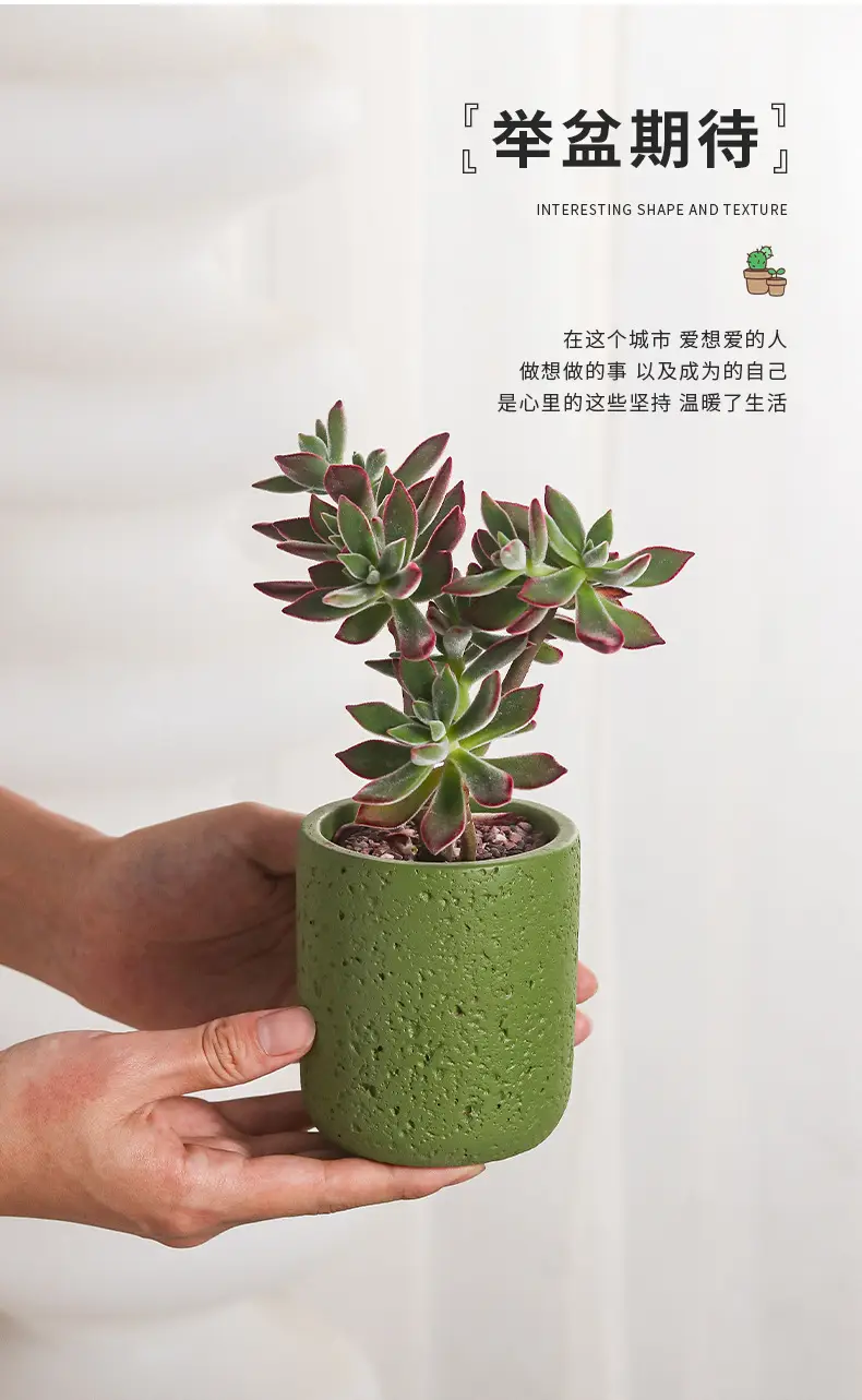 Cross-Border Hot Selling Custard Creative Stone Pattern Cement Succulent Flower Pot Office Home Desktop Green Plant Flower Pot Manufacturer Wholesale — feature 8