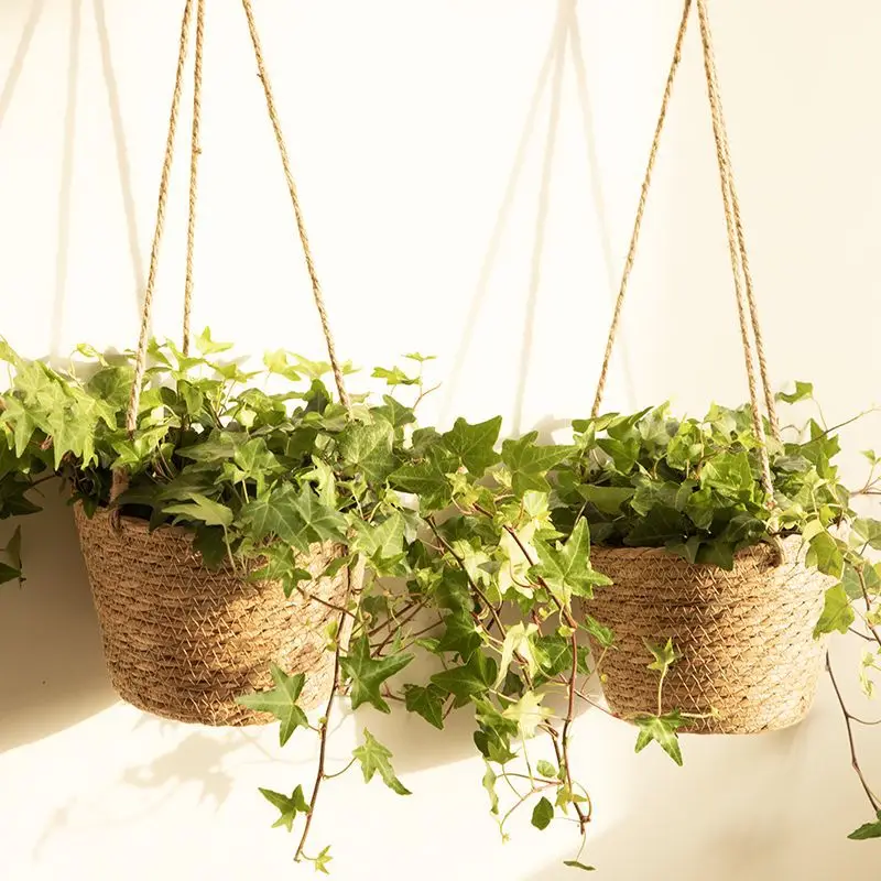 Hanging Baskets, Straw Woven Flower Pots, Creative Hanging Baskets, Rattan Woven Flower Baskets, Hanging Green Plants, Wall-Mounted Woven Flower Pots, Green Plants