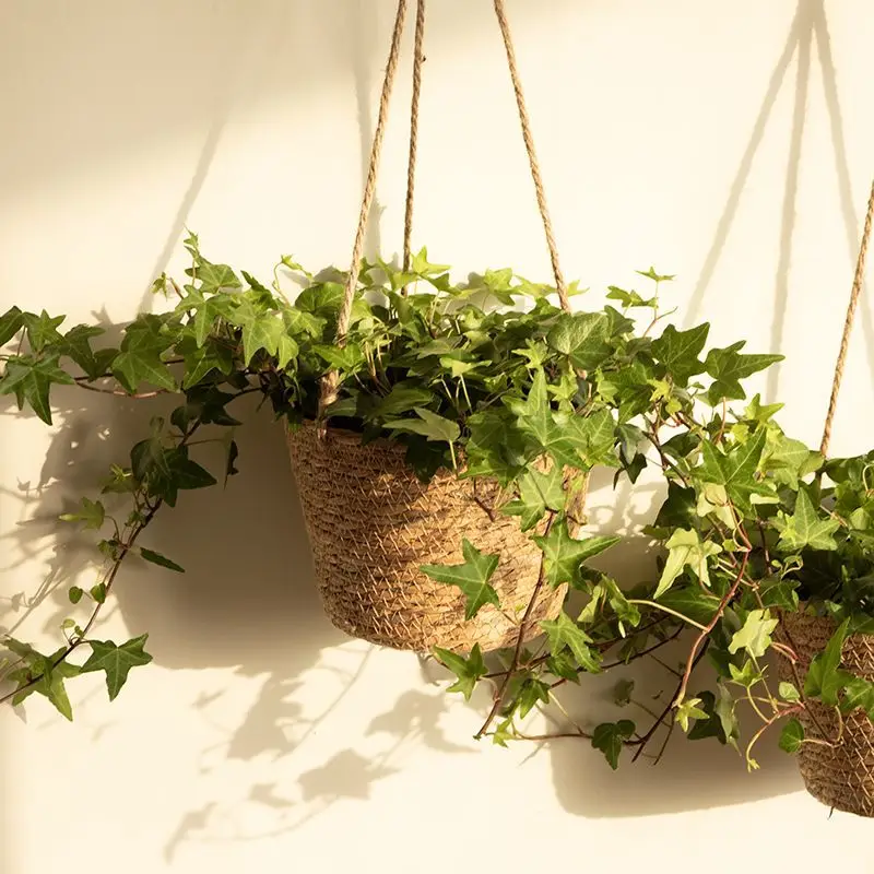 Hanging Baskets, Straw Woven Flower Pots, Creative Hanging Baskets, Rattan Woven Flower Baskets, Hanging Green Plants, Wall-Mounted Woven Flower Pots, Green Plants