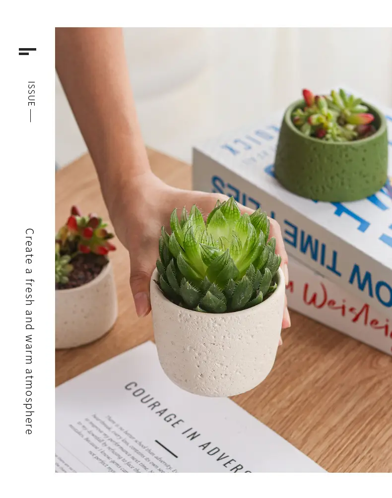 Net red mini small flowerpot cement potted simple multi-meat dried flowerpot Amazon cross-border Nordic wind manufacturers wholesale — feature 12
