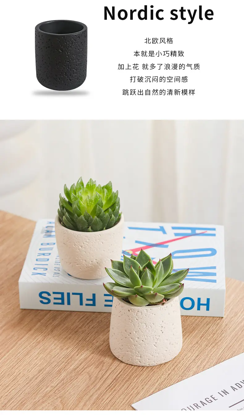 Net red mini small flowerpot cement potted simple multi-meat dried flowerpot Amazon cross-border Nordic wind manufacturers wholesale — feature 13