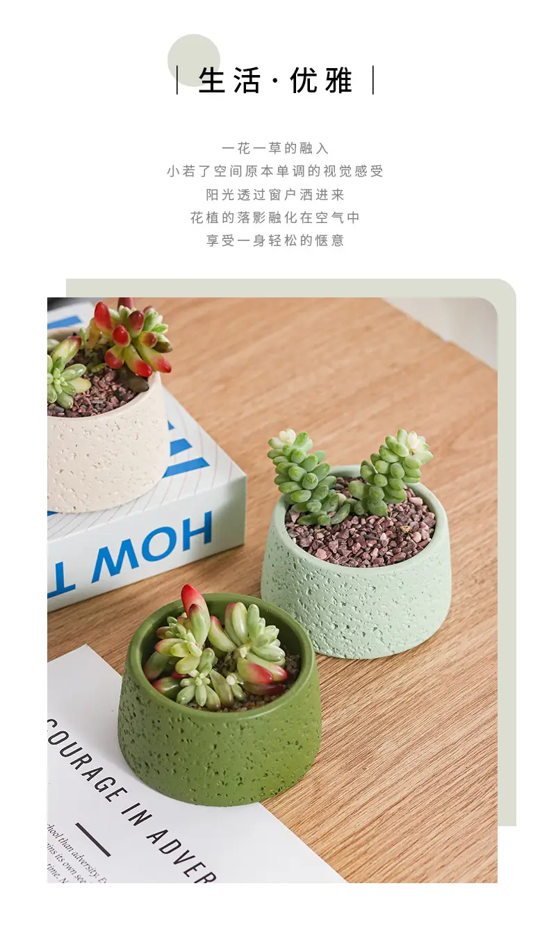 Net red mini small flowerpot cement potted simple multi-meat dried flowerpot Amazon cross-border Nordic wind manufacturers wholesale — feature 2