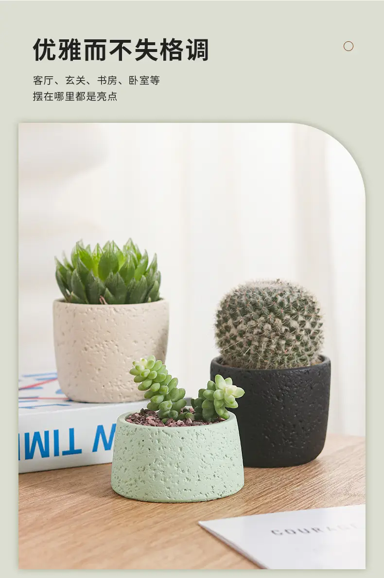 Net red mini small flowerpot cement potted simple multi-meat dried flowerpot Amazon cross-border Nordic wind manufacturers wholesale — feature 3
