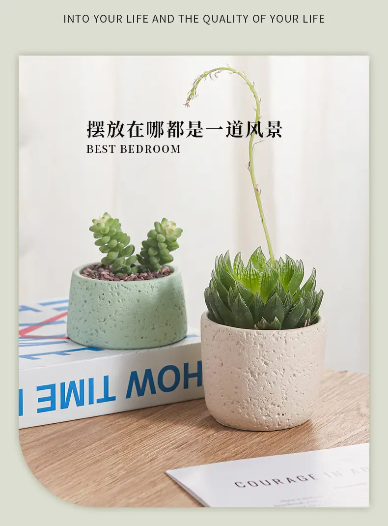 Net red mini small flowerpot cement potted simple multi-meat dried flowerpot Amazon cross-border Nordic wind manufacturers wholesale — feature 4