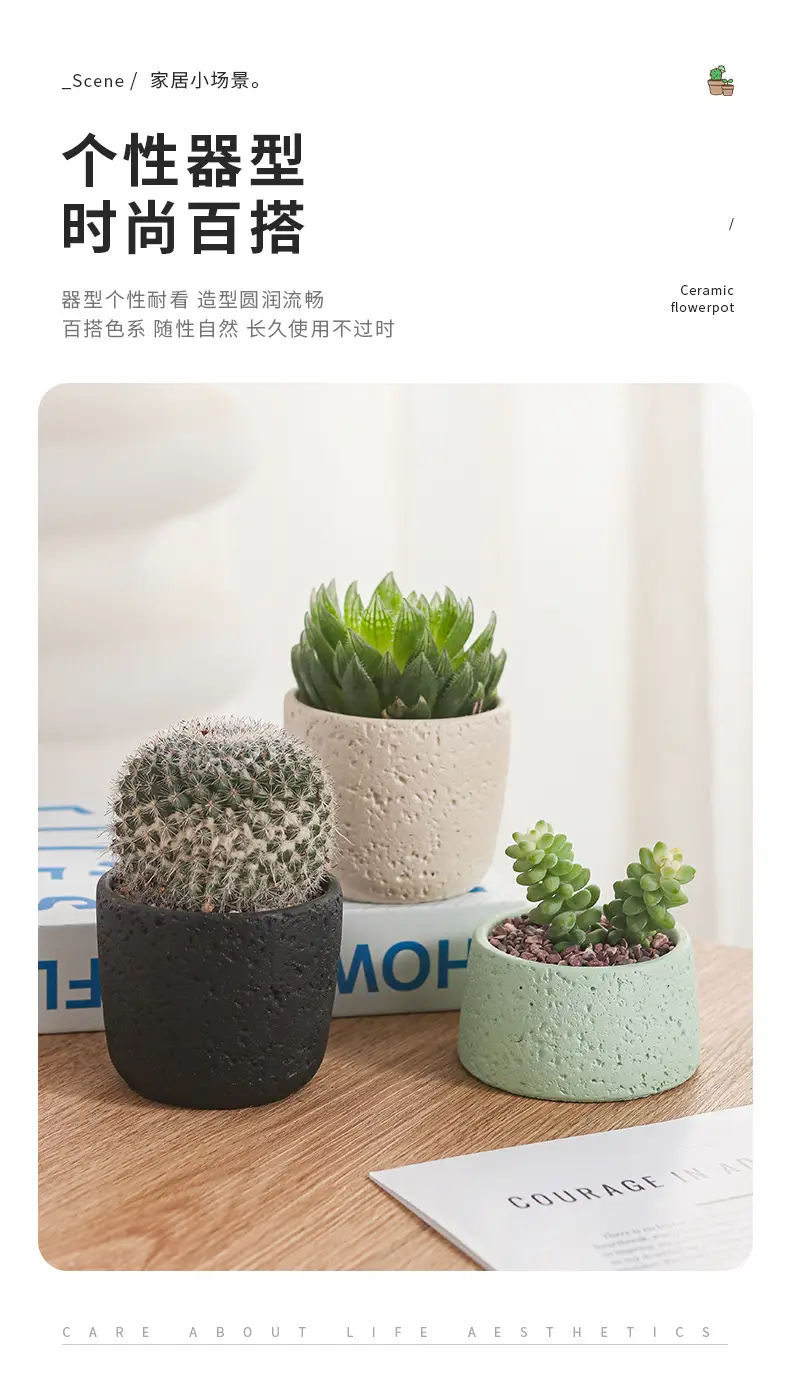 Net red mini small flowerpot cement potted simple multi-meat dried flowerpot Amazon cross-border Nordic wind manufacturers wholesale — feature 7