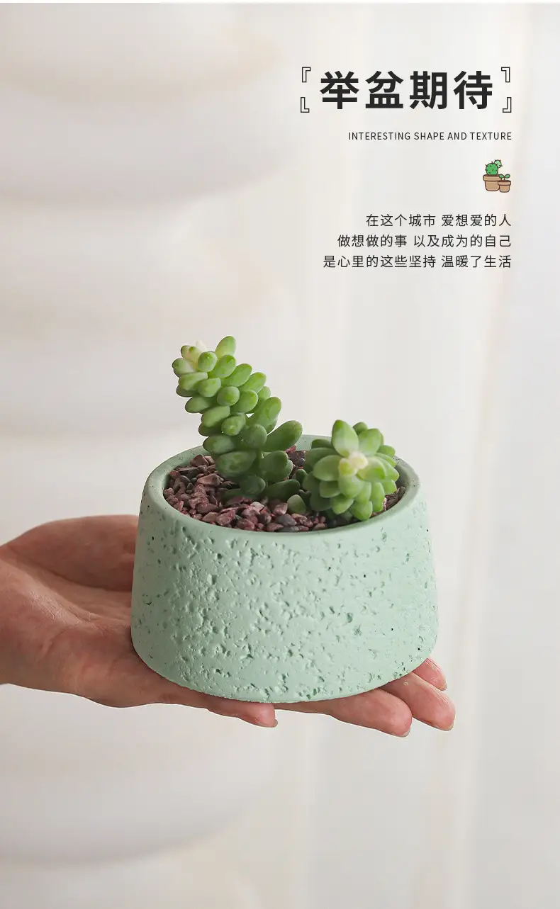 Net red mini small flowerpot cement potted simple multi-meat dried flowerpot Amazon cross-border Nordic wind manufacturers wholesale — feature 8