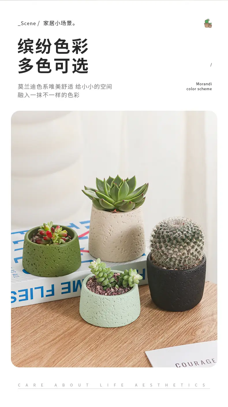 Net red mini small flowerpot cement potted simple multi-meat dried flowerpot Amazon cross-border Nordic wind manufacturers wholesale — feature 9