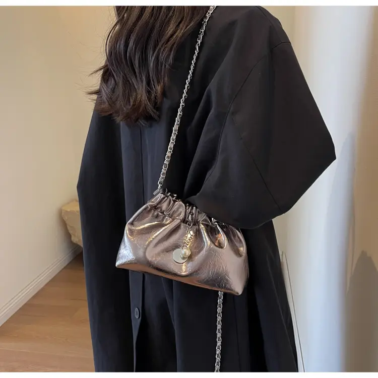 2024 New Light Silver Pleated Cloud Bag with Chain Crossbody — feature 30