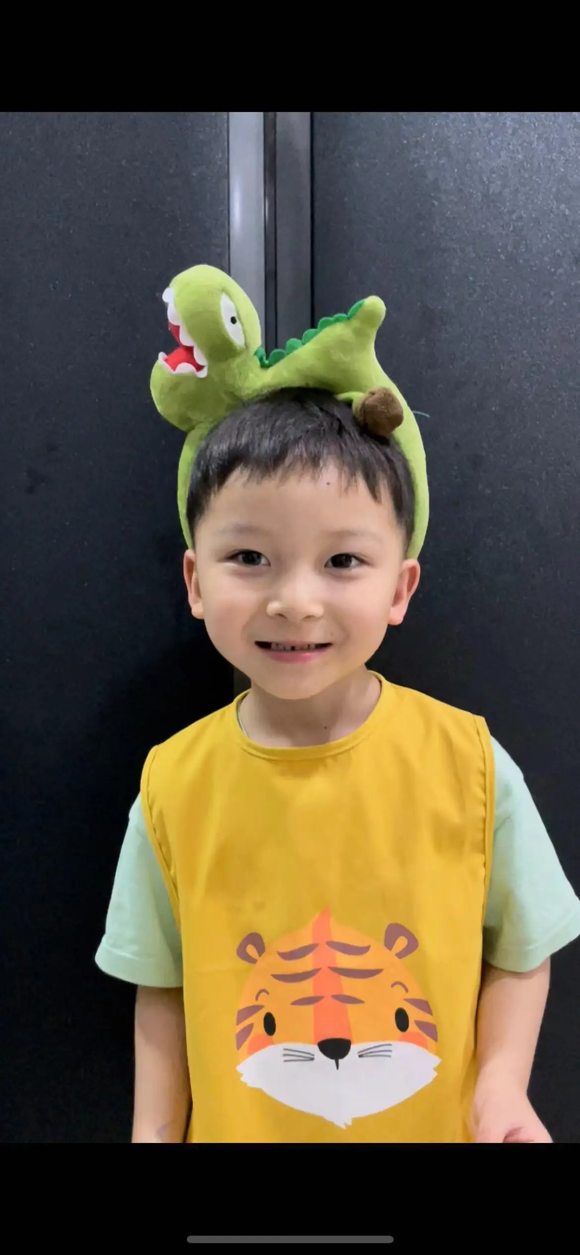 Dinosaur Headband Women Cute Cartoon Hairpin 36cm — feature 1