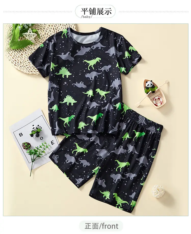 2025 Boys Dinosaur T-Shirt Cartoon Print Summer Wear — feature 6