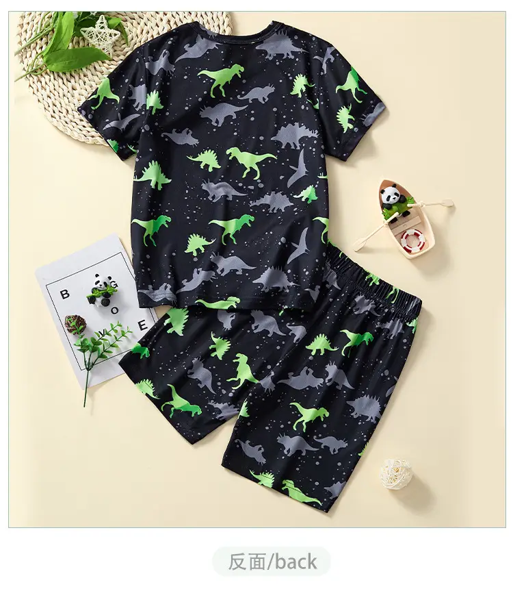 2025 Boys Dinosaur T-Shirt Cartoon Print Summer Wear — feature 7