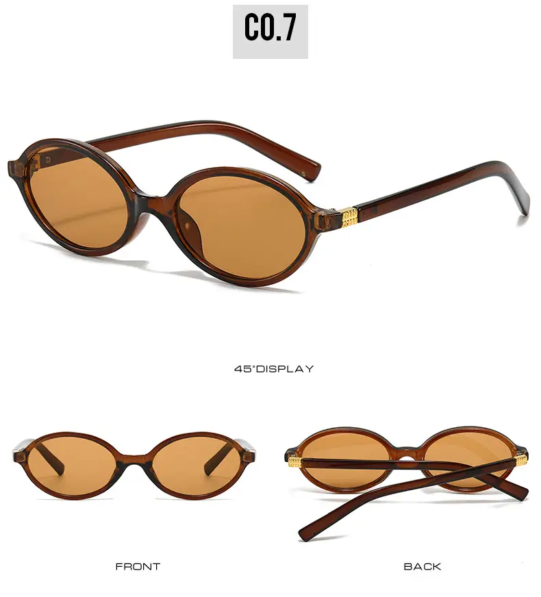 Oval Sunglasses for Women Black High-End Fashion β feature 13