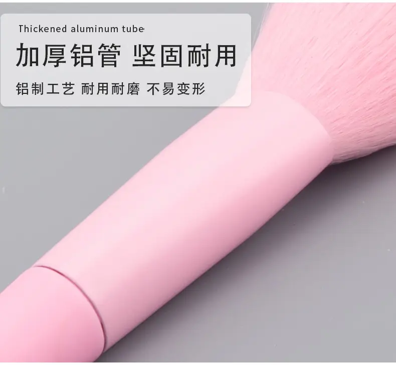 Blush Powder Brush Set 17 Colors Professional Beauty Tools β feature 5