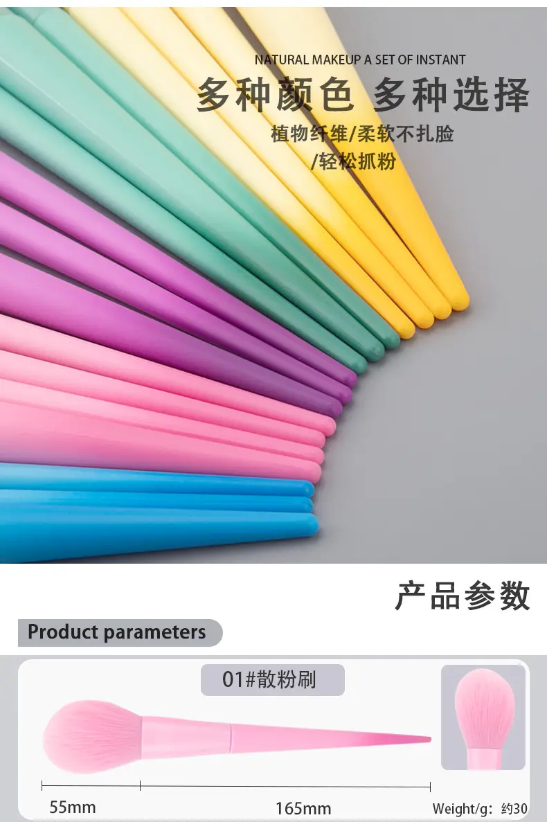 Blush Powder Brush Set 17 Colors Professional Beauty Tools β feature 7