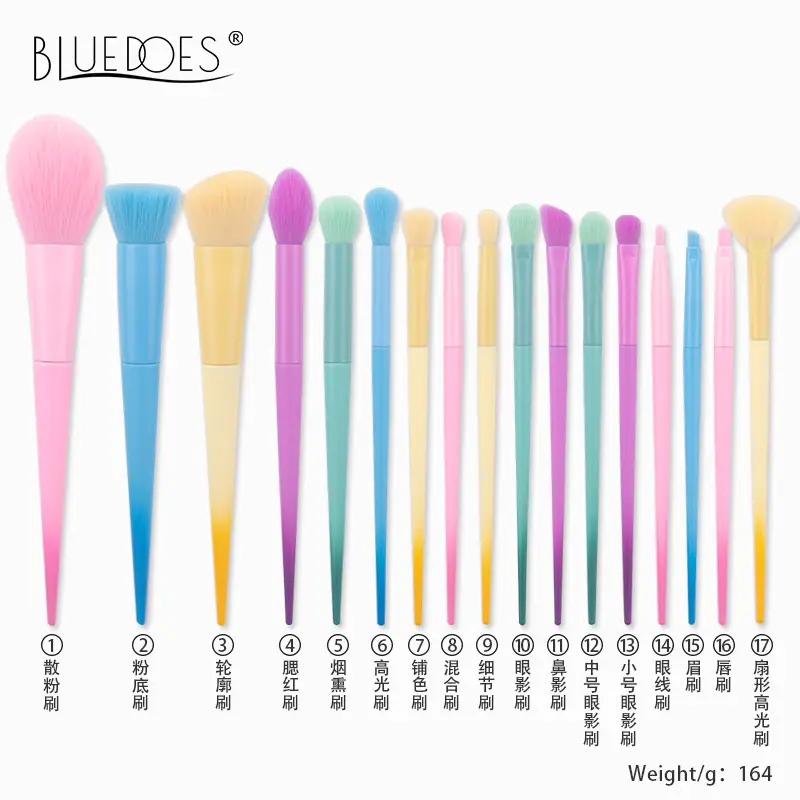 Blush Powder Brush Set 17 Colors Professional Beauty Tools