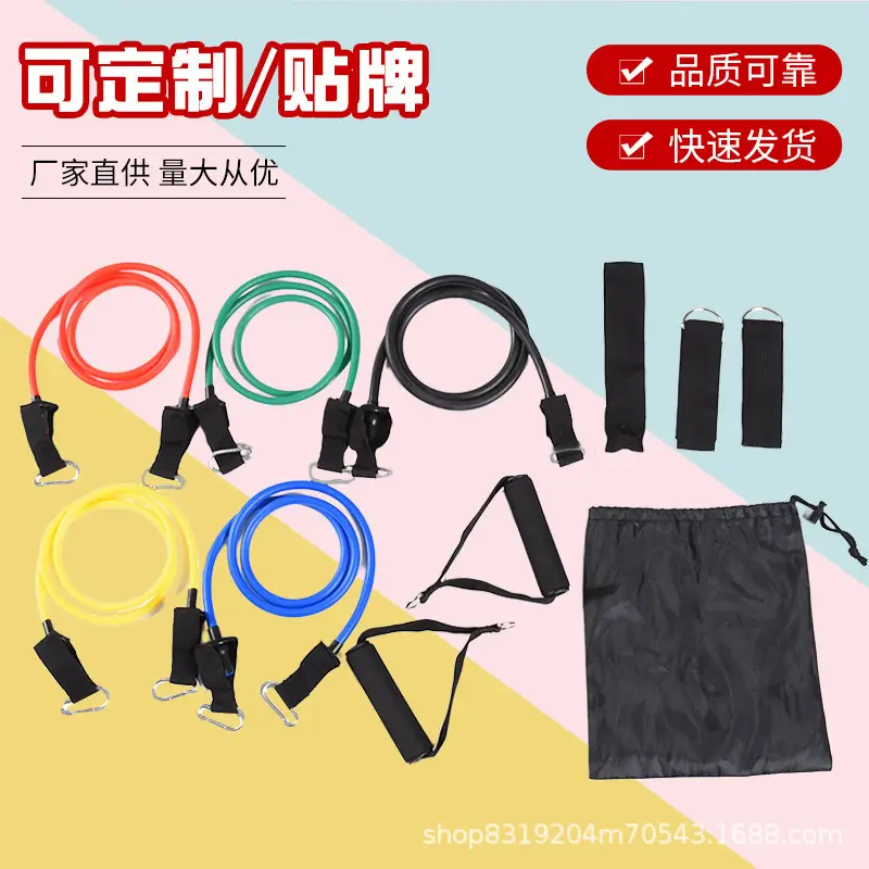 Tpe 11-Piece Set with Labels, Tensioner, Carabiner, Tension Rope, Resistance Band, Hook, Home Fitness Stretching