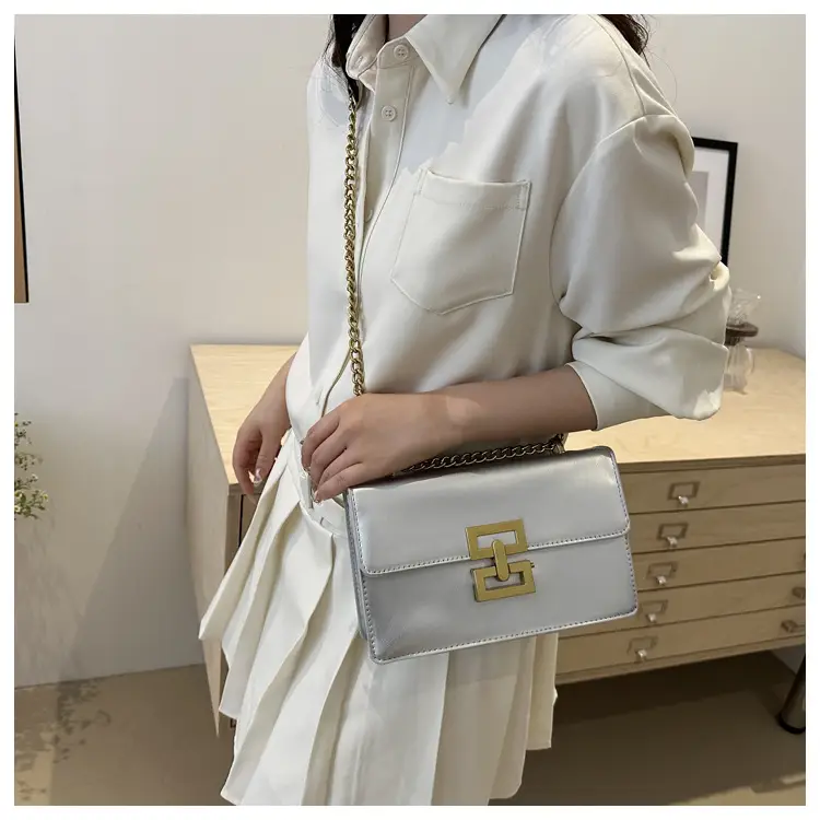High-end Chain Lock Buckle Bags for Women 2024 — feature 20