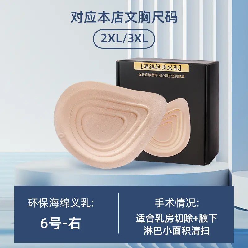 2024 Prosthetic Breast Bra for Women after Breast Surgery, Wireless, Seamless, Fake Breast, Fake Breast Two-In-One Bra, Special for Prosthetic Breasts