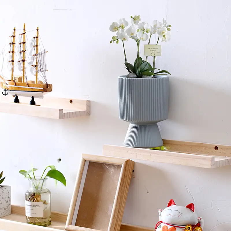 A generation of cross-border Amazon TEMU ceramic flower pot with tray European simple green plant large butterfly orchid basin