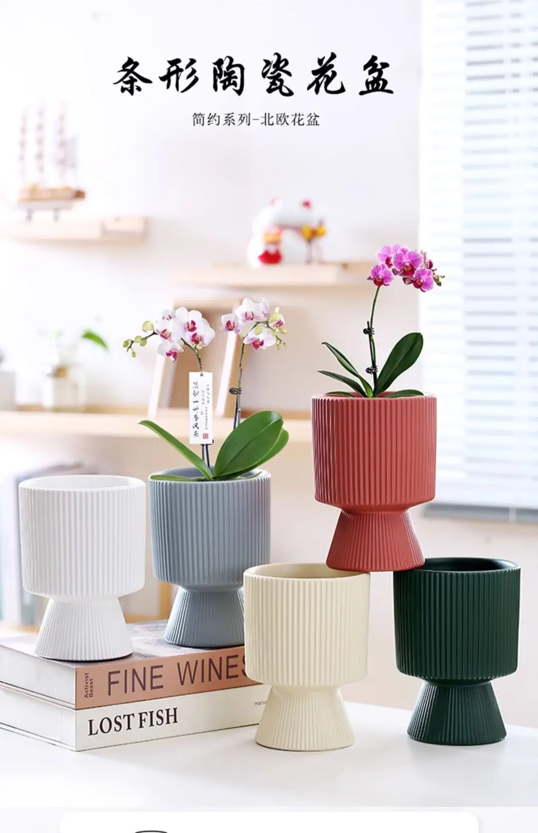 A generation of cross-border Amazon TEMU ceramic flower pot with tray European simple green plant large butterfly orchid basin — feature 1