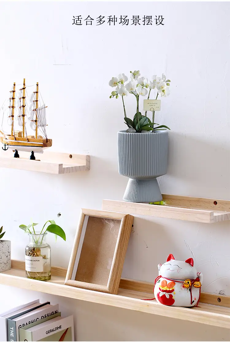 A generation of cross-border Amazon TEMU ceramic flower pot with tray European simple green plant large butterfly orchid basin — feature 10