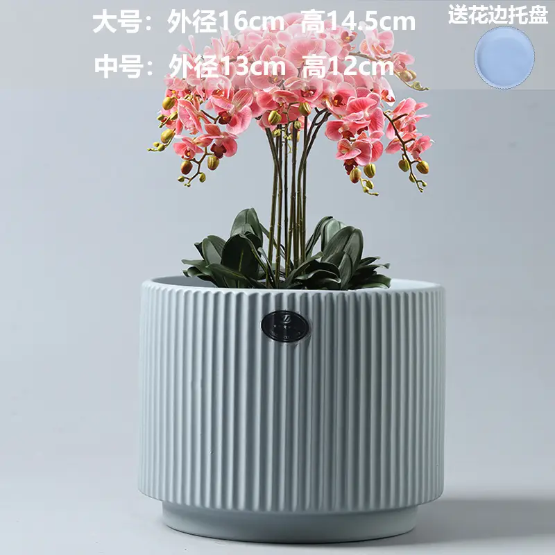 A generation of cross-border Amazon TEMU ceramic flower pot with tray European simple green plant large butterfly orchid basin