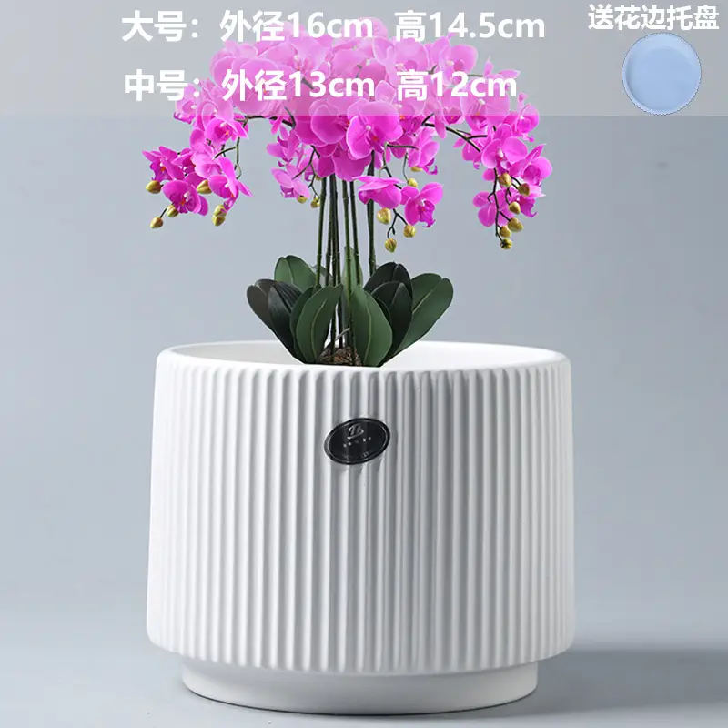 A generation of cross-border Amazon TEMU ceramic flower pot with tray European simple green plant large butterfly orchid basin