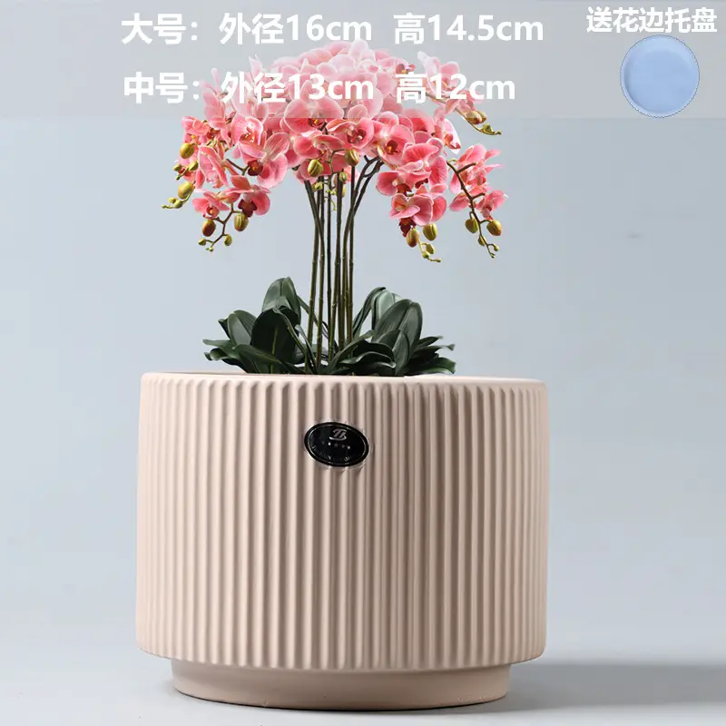 A generation of cross-border Amazon TEMU ceramic flower pot with tray European simple green plant large butterfly orchid basin