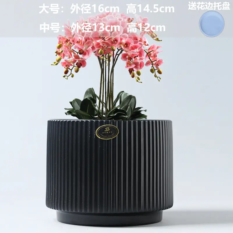 A generation of cross-border Amazon TEMU ceramic flower pot with tray European simple green plant large butterfly orchid basin