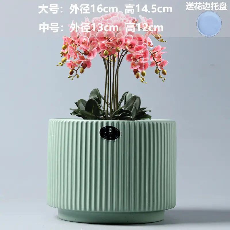 A generation of cross-border Amazon TEMU ceramic flower pot with tray European simple green plant large butterfly orchid basin