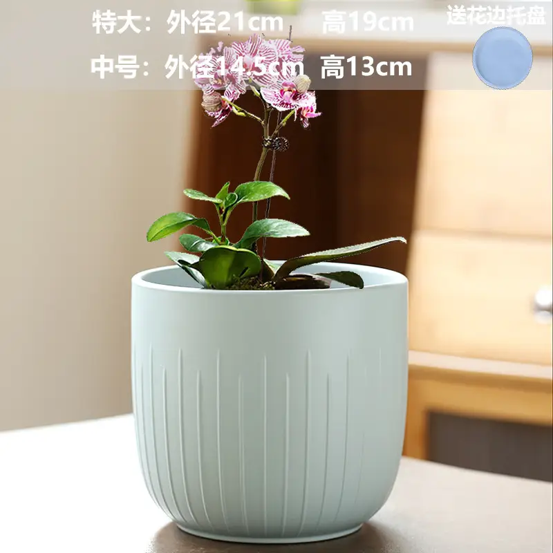 A generation of cross-border Amazon TEMU ceramic flower pot with tray European simple green plant large butterfly orchid basin
