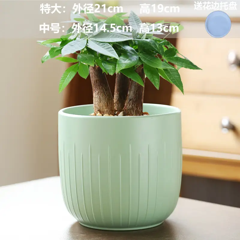 A generation of cross-border Amazon TEMU ceramic flower pot with tray European simple green plant large butterfly orchid basin