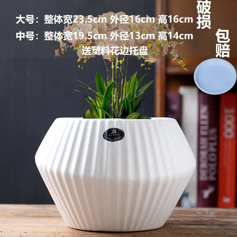 A generation of cross-border Amazon TEMU ceramic flower pot with tray European simple green plant large butterfly orchid basin